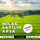 Milas Arsa