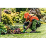 Timonium Landscaping