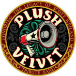 Plush Velvet