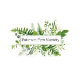 Paterson Fern Nursery