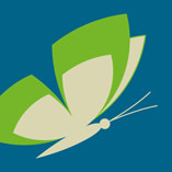 Grasmück Insektenschutzsysteme GmbH logo