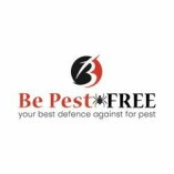 Be Pest Free Wasp Removal Adelaide