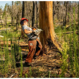 Wausau Tree Service Pros