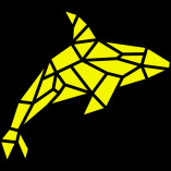 MAKOA PADDLE & KAYAK