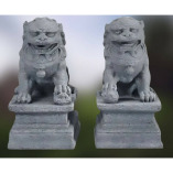 BioWave Prosperity Stone Lions Cost Review 2024