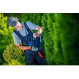 ArboristsDarwin.com.au