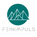 FEINIMPULS