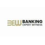 Banking Expert Witness