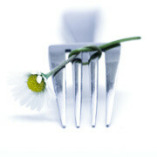 Catering & Eventservice Borghs logo