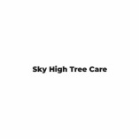 Tree Surgeon in Chesterfield