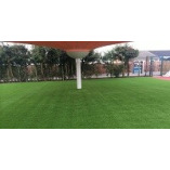 Artificial Lawn LTD