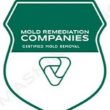 Boynton Beach Mold Remediation Pros