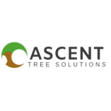 Ascent Tree Solutions LTD