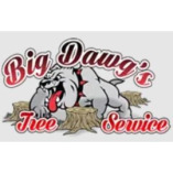 Big Dawgs Tree Service and Stumpgrinding