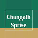 Chungath Sprise Hyundai