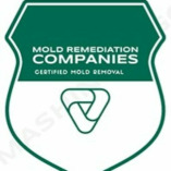 Belleville Mold Remediation Pros