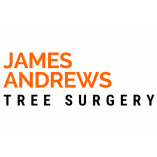 Tree Surgeon Blackpool