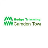 Hedge Trimming Camden Town