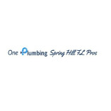 One Plumbing Spring Hill FL Pros