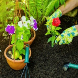 Pressure Washing Marylebone