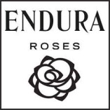 Endura Roses