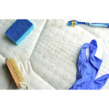 The Crossroads Mold Removal Experts