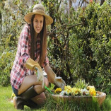 Gardening Maida Vale