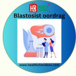 Laekoste Blastocyst-oordragbehandeling in Indië