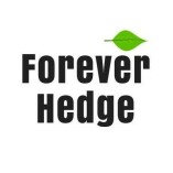 Forever Hedge -Artificial Plant Walls