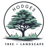 Hodges Tree and Landscape