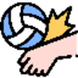 goralvolleyball