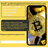 perfect crypto Recovery Services