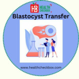 Low Cost Blastocyst Transfer Treatment in India