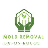 Mold Removal Baton Rouge