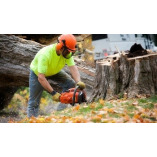 Christmas City Tree Service