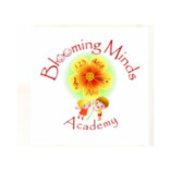 Blooming Minds Academy Daycare and Preschool