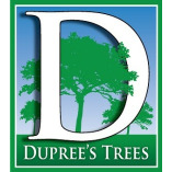 Duprees Trees