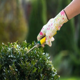 Patio Cleaning Services