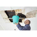 Jacksonville Water Damage Solutions