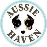 Aussie Pet Havenv