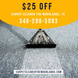 Carpet Cleaner The Woodlands