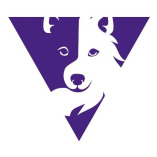 VayaDogs Dog Training