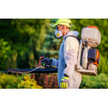 Oil State Termite Removal Experts