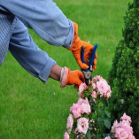 Lawn Mowing Thamesmead