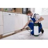 Ongediertebestrijding Den Haag