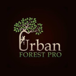 Urban Forest Pro