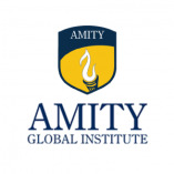 Amity Global Institute