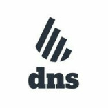 dns accountants