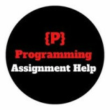 programming Assignment Help