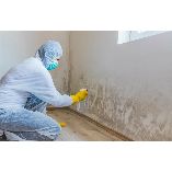 Strong Island Mold Inspections